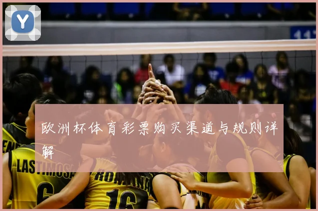 欧洲杯体育彩票购买渠道与规则详解
