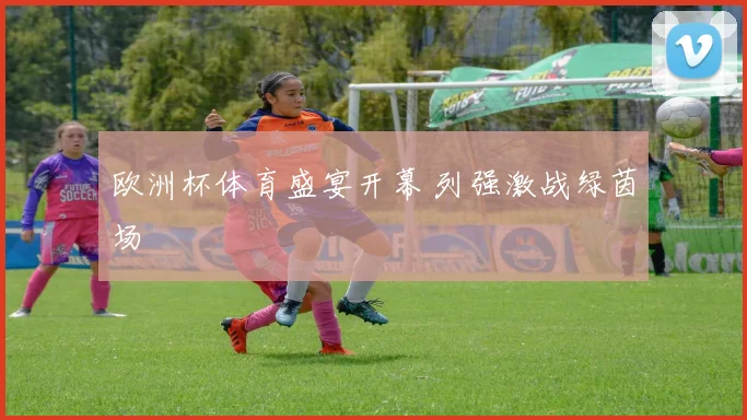 欧洲杯体育盛宴开幕 列强激战绿茵场