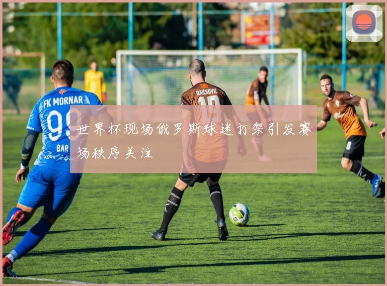 世界杯现场俄罗斯球迷打架引发赛场秩序关注