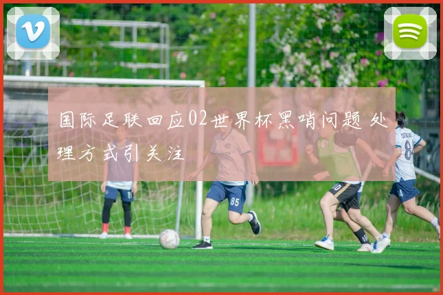 国际足联回应02世界杯黑哨问题 处理方式引关注