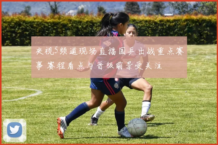 央视5频道现场直播国乒出战重点赛事 赛程看点与晋级前景受关注