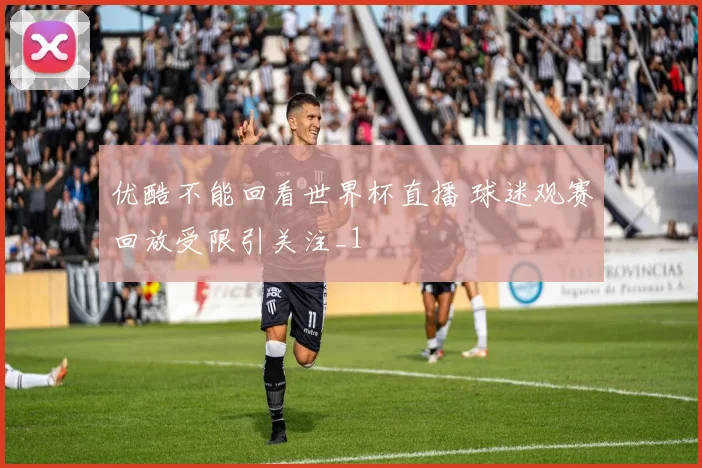 优酷不能回看世界杯直播 球迷观赛回放受限引关注_1