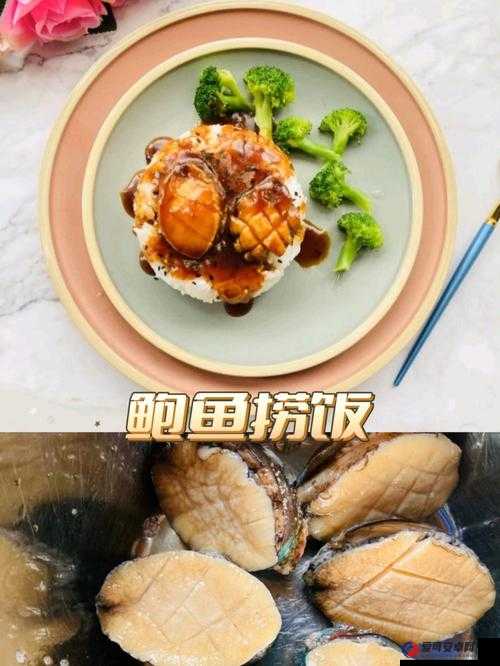 创造与魔法鲍鱼捞饭食谱揭秘，如何制作及高效利用资源管理策略？