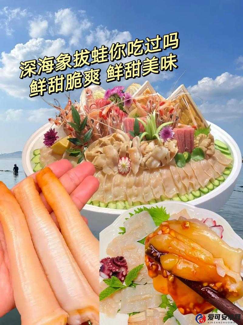 创造与魔法，如何翻水象拔蚌，解锁隐藏海洋美味的神秘食谱？