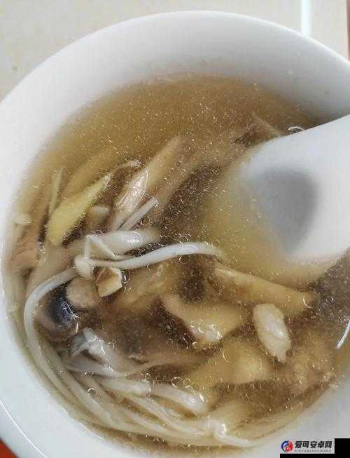 创造与魔法蘑菇灵鱼汤制作秘籍，完整食谱大揭秘？