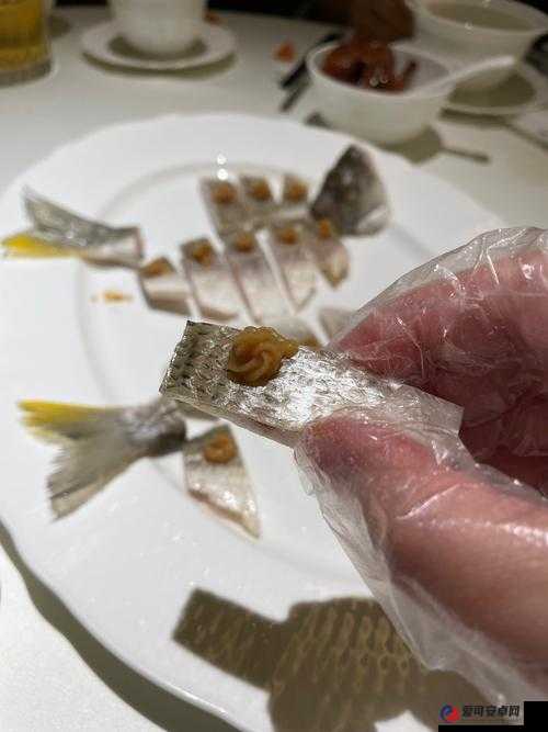 如何制作美味的缓鱼饭？揭秘缓鱼饭食谱的详细步骤与秘诀