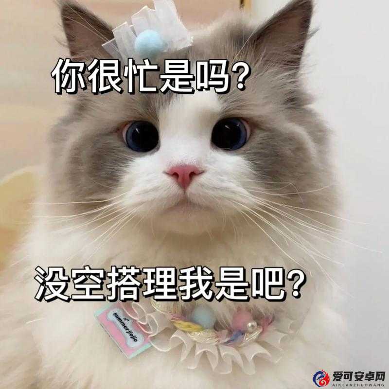 在吗？我想知道你现在忙不忙？