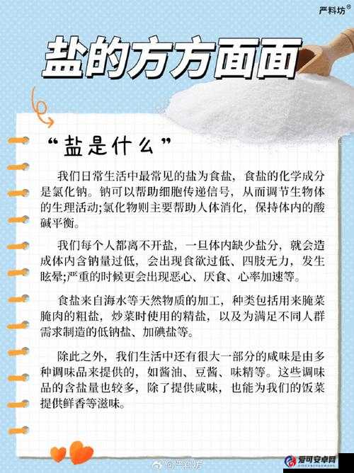 盐母免费观：如何在家中轻松制作天然盐母，享受健康生活新方式